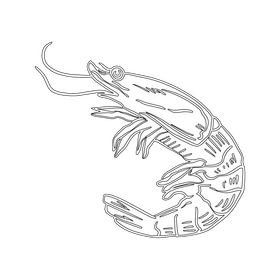 Shrimp black and white clipart