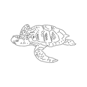 Sea turtle black and white clipart