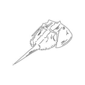 Ramp fish cartoon black and white clipart