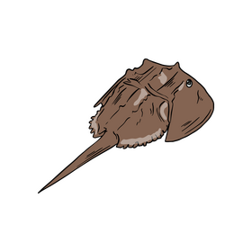 Ramp fish cartoon clipart