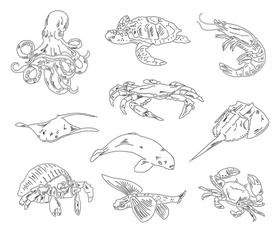 Sea animals, fishes black and white vector