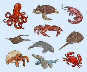 Sea animals, fishes vector