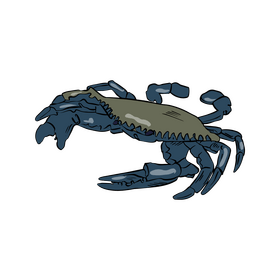Blue sea crab cartoon clipart