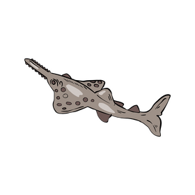 Sawfish, carpenter shark clipart
