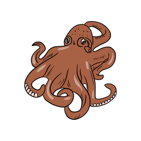 Brown octopus cartoon clipart