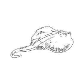 Ramp fish black and white clipart