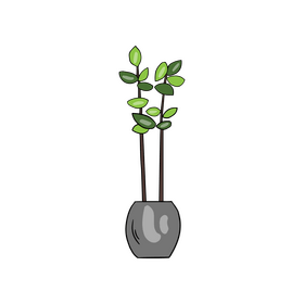 Potted plants, flower in a pot clipart