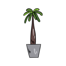 Palm plant on a pot, potted palm clipart
