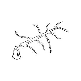 Sawn tree black and white clipart