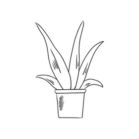 Plant in the pot, potted flower black and white clipart