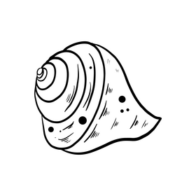 See shell cartoon black and white clipart