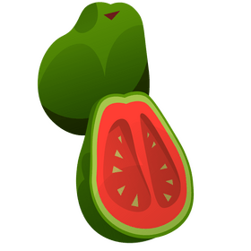 Cuba guava clipart