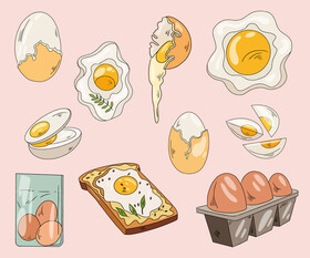 Eggs vector