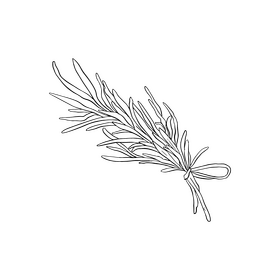Rosemary black and white clipart