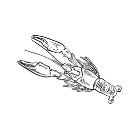 Cancer black and white clipart