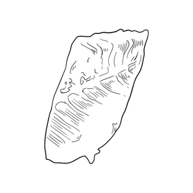 Sushi fish black and white clipart