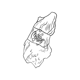 Sushi rolls illustration black and white clipart