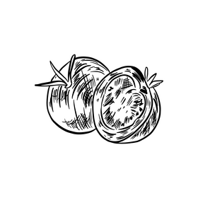 Tomato illustration black and white clipart