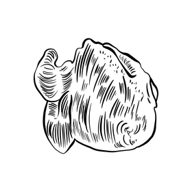 Whole chicken drawing black and white clipart