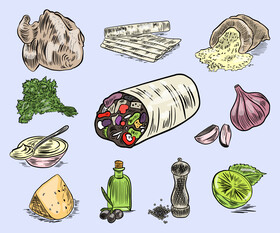 Food burrito set vector