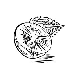 Lime black and white clipart