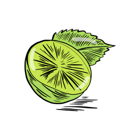 Lime clipart