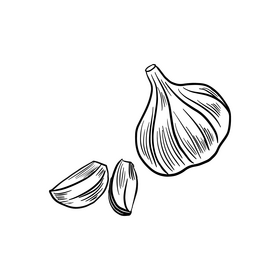 Garlic black and white clipart