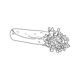 Shawarma black and white clipart