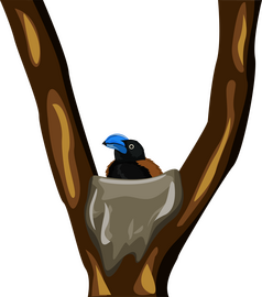 Blue bird in nest clipart