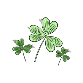 Shamrock clipart
