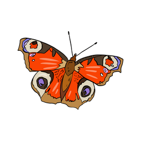 Butterfly clipart