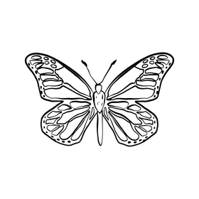Butterfly cartoon black and white clipart free download