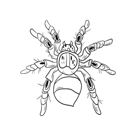 Spider black and white clipart