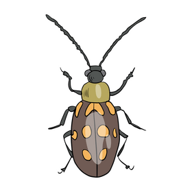 Bug illustration clipart