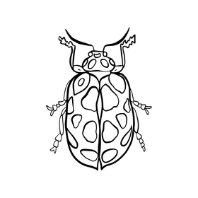 Bug illustration black and white clipart