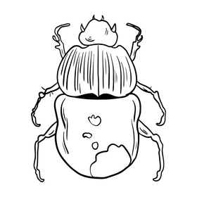 Bug black and white clipart