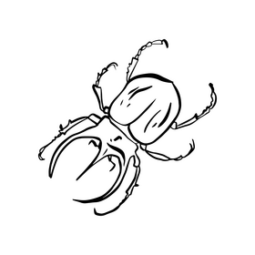 Bug download black and white clipart