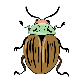 Bug clipart