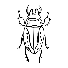 Bug Software black and white clipart free download