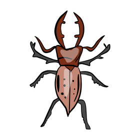 Brown bug clipart