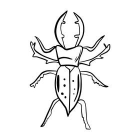 Bug black and white clipart