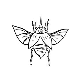 Bug black and white clipart