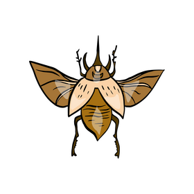Bug clipart