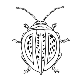 Bug cartoon black and white clipart