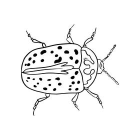 Bug cartoon black and white clipart vector free download