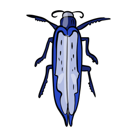Blue bug drawing clipart