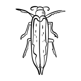 Bug drawing black and white clipart