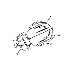 Free bug black and white clipart