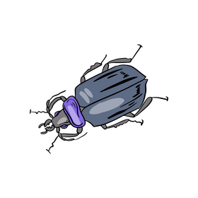 Free bug clipart
