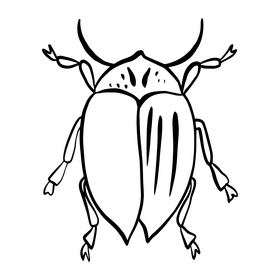 Bug black and white clipart